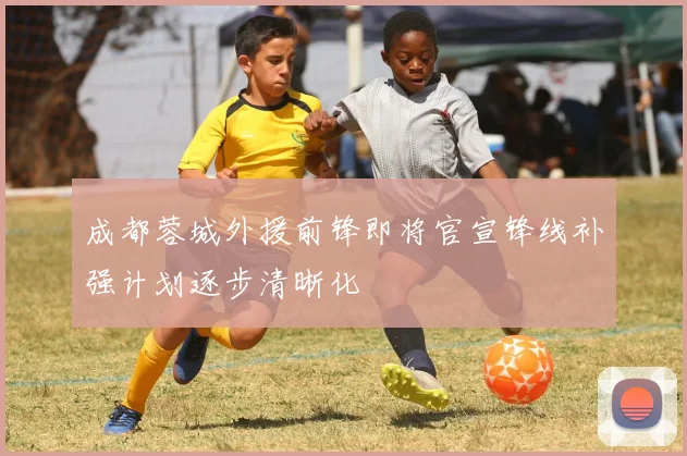 成都蓉城外援前锋即将官宣锋线补强计划逐步清晰化